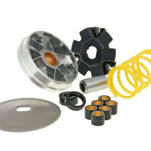 Variomatik Malossi Multivar für Piaggio, Vespa Bravo, Boss, Ciao, Grillo, Si Echt