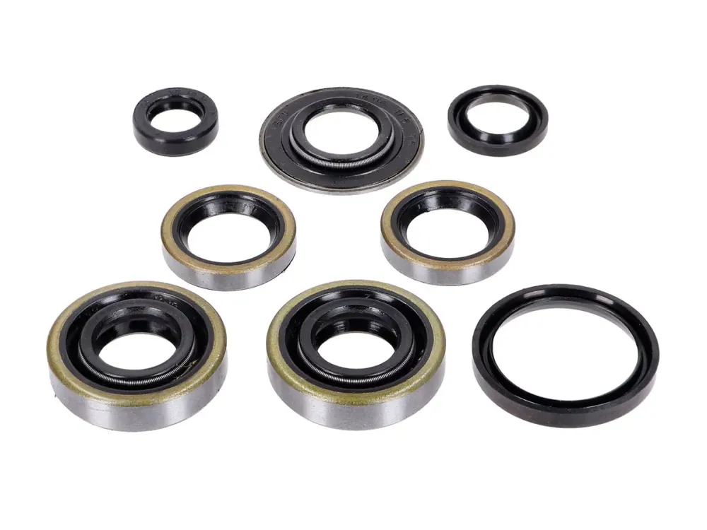 Aktuell Simmerring-Satz 8-teilig 15x30x7 15x31,5x3,5 16x24x4 25x31,2x4 10x16x4,5 für Hercules, Miele, DKW, KTM, Göricke, Gritzner, Sachs 50/AMA X, AMAL AMA SF, AL S, 3 LS