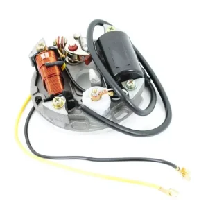Zündung Grundplatte 90mm 6V 15W für Puch Maxi S, N, Mofa, Moped Sonderangebot