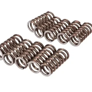 Expressversand Kupplungsfedern Satz 10 Stück Schwarz für Zündapp KS 80, K 80 SX