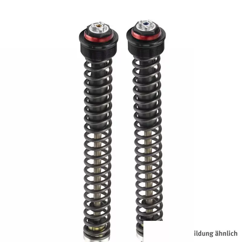 Sonderaktion BITUBO JBH Gabeldämpfer-Kit passend für Ducati Hypermotard 950 ab 2019