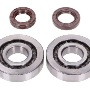 Kurbelwellenlager Satz Naraku SKF, FKM Premium C3 Metallkäfig für Piaggio Mega-Angebot