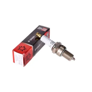 Jetzt Kaufen Zündkerze Champion RN9YC