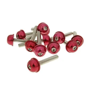 Ausverkauf Schraubensatz 12 Stück Alu-Kappe rot - M5x30