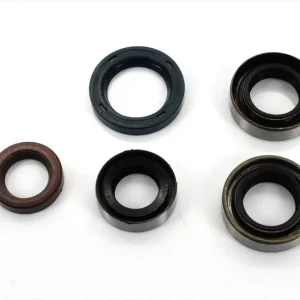 Rabatt Simmering Satz 5 teilig Kreidler Florett LF LH Motor