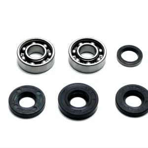 Lager Simmering satz 6 tlg. Hercules Prima 2 Gang Motor Nur Heute