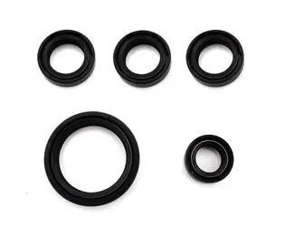 Knallerangebot Wellendichtring Drilastic 1 Satz rechts für Kreidler, K 50, K 51