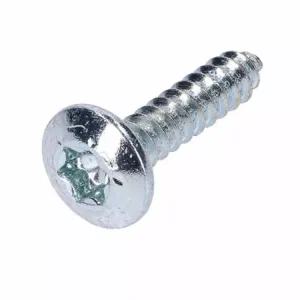 Blechschraube OEM TX silbern 4,2x21,5mm Begrenztes Angebot