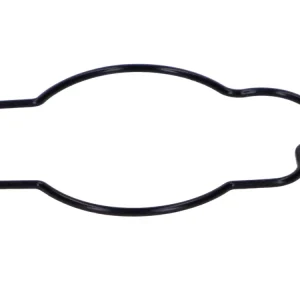 Solange Der Vorrat Reicht Dichtung Schwimmerkammer Vergaser für Hercules Saxonette, Spartamet