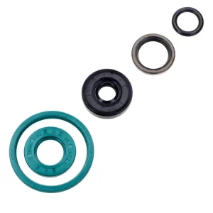 Wellendichtring Satz 5-teilig mit O-Ring für Hercules Saxonette, Spartament Expressversand