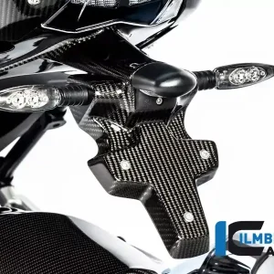 Ilmberger Carbon Kennzeichenhalter (2-teilig) passend für BMW R1250R / R1250RS ab 2019 Geprüft