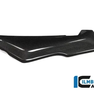 Ilmberger Carbon Abdeckung unter Verkleidungsteil links passend für BMW R1200RS LC Echt