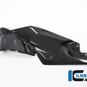 Sofort Bestellen Ilmberger Carbon Seitendeckel unterm Tank links passend für BMW R1200R (LC) ab 2015