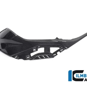 Jetzt Kaufen Ilmberger Carbon Seitendeckel links am Tank passend für BMW S1000RR / M1000RR / M1000R