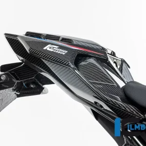 Ilmberger Carbon Heckverkleidung Mittelteil (2 Personen) passend für BMW S1000R & M1000R Schneller Versand