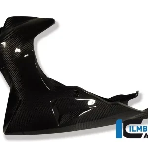 Finale Aktion Ilmberger Carbon Motorspoiler passend für BMW K1200R/K1300R