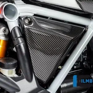 Must-Have Rahmendreieckcover rechts Carbon passend für BMW R1250R (LC) ab 2019