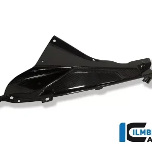 Ilmberger Carbon Plakettenträger links passend für BMW S1000RR und HP4 Jetzt Kaufen