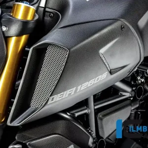 Ilmberger Carbon Lufteinlasskanalverkleidung links matt passend für Ducati Diavel 1260 Neue Ware