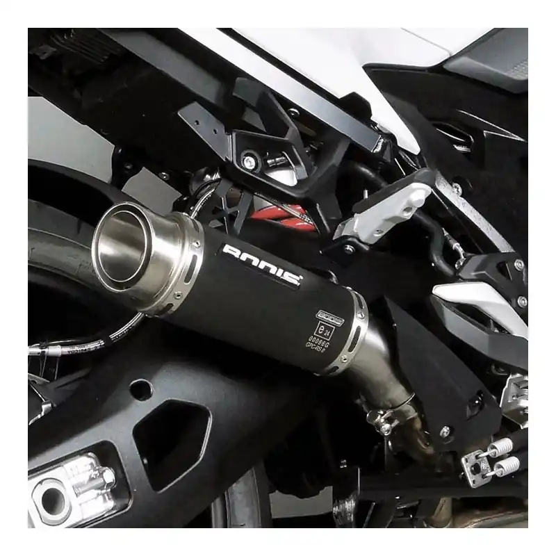 Top-Seller Bodis Auspuff GPC-RSII Slip-On Edelstahl schwarz BS1000XR-005